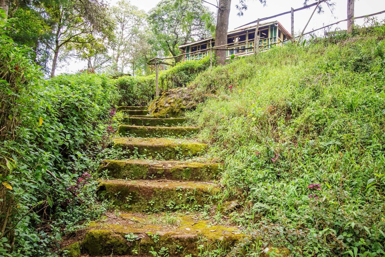 Chaik Resort Kericho Extérieur photo